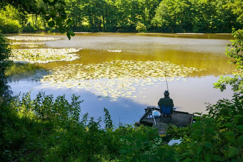 back-view-person-coarse-fishing-lake-wiltshire-uk-early-morning_181624-14459 (1)